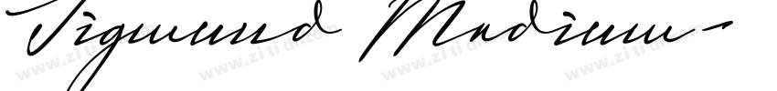 Sigmund Medium字体转换